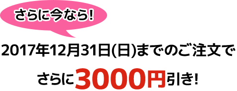 さらに今なら！2017年12月31日(日)までのご注文でさらに3000円引き！